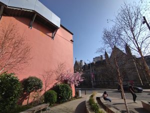 Photo of the NTU poetry wall