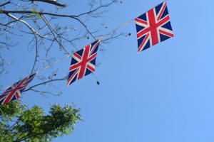 Bunting looking up into the sky.