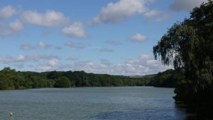 Photo of a lake