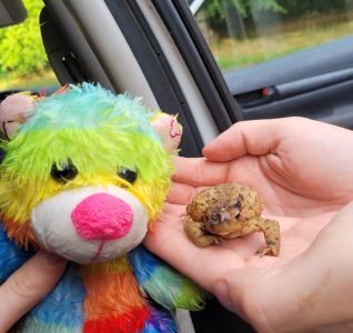 Teddy and a Frog