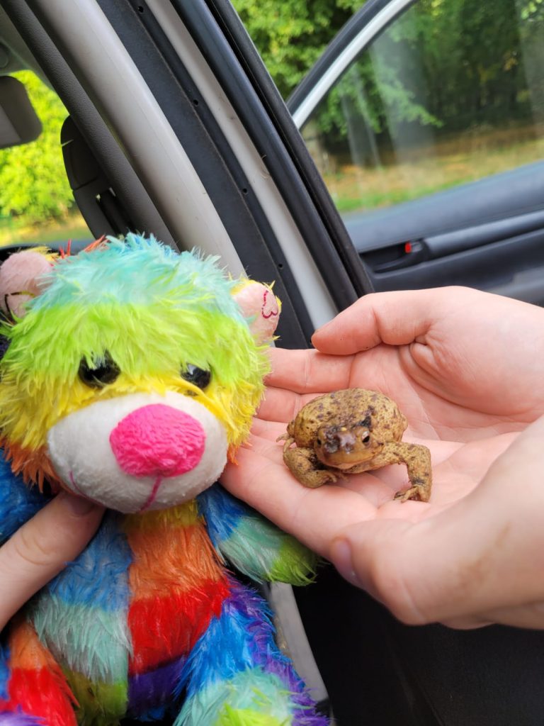 Teddy and a Frog