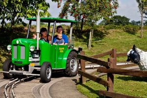 Tractor Ride at Sundown Adventure Land