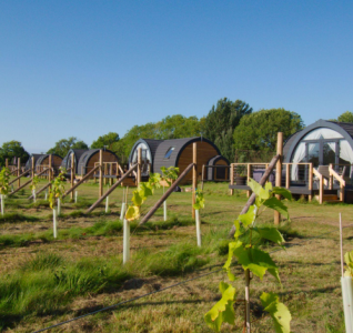 Pods on the wine estate for the new attraction