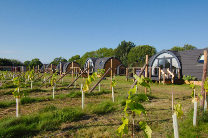 Pods on the wine estate for the new attraction