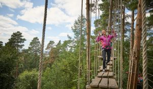 Girl walking across the walkways in the trees at go ape sherwood pines