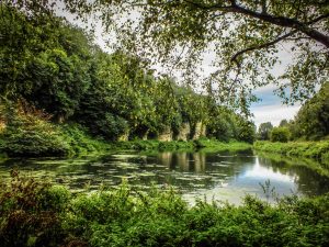Shot of Creswell Crags lake through the trees on a sunny day