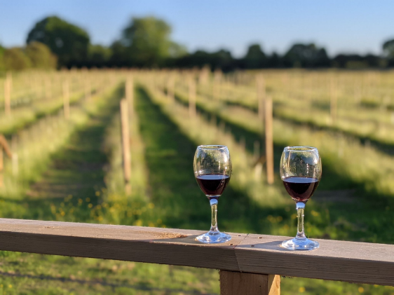 two glasses of red wine balance on a wooden handrail overlooking a vineyard at hanwell wine estate.