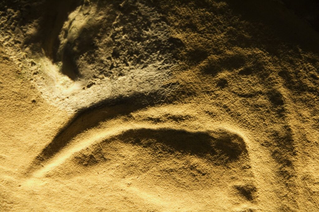 Fossil marking in a cave