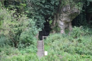 Entrance to the Church Hole Cave at Creswell Crags. There are some wooden steps going up to the entrance of the cave. Surrounding the entrance to the cave is a lot of greenery and ferns.