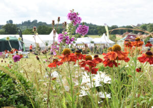 A shot looking through selction of red and purple flowers in the foreground with some white tents in the background.