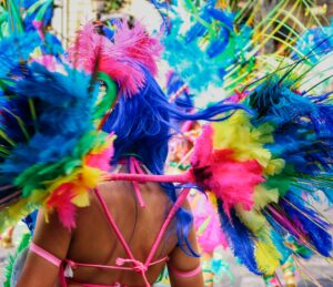 A lady in multicoloured feather carnival dress with her back facing the camera.