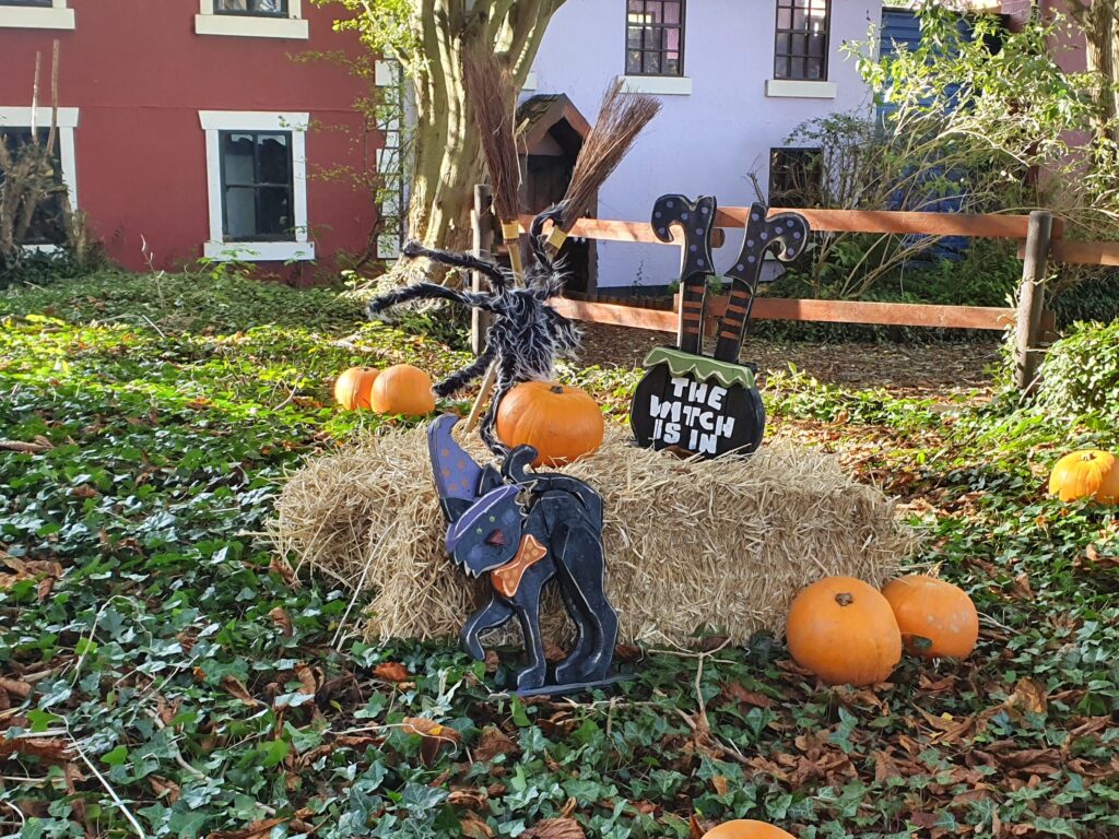 Black cat carving amongst pumpkins at Sundown Adventureland