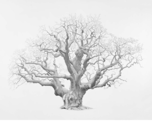 A sketch of a tree with no leaves.