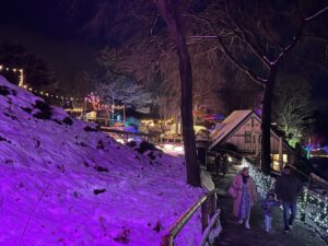 Opening Night at the Lights of Abraham 2024