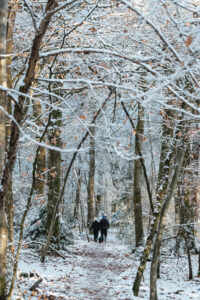 Escape the Christmas Rush in Sherwood Pines