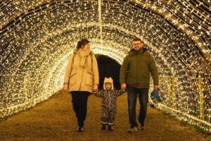 Wheelgate Park Christmas