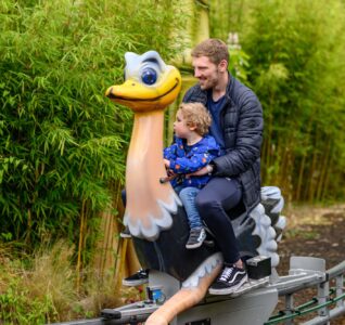 Sundown Adventureland