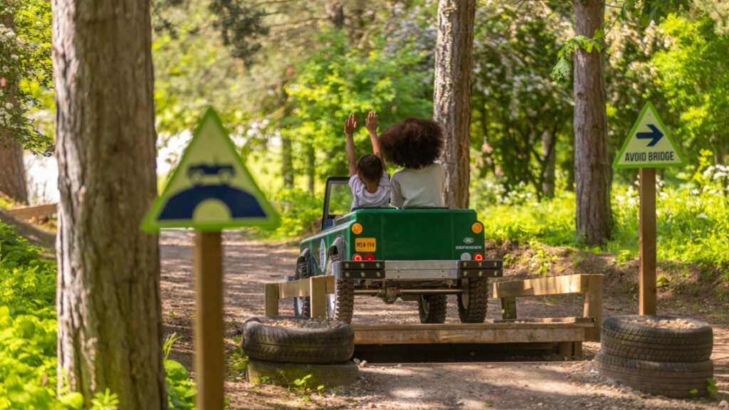 sherwood pines