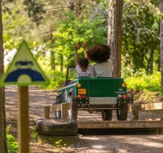 sherwood pines