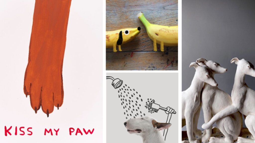 Dog gallery
