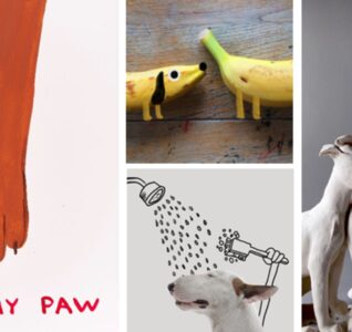 Dog gallery