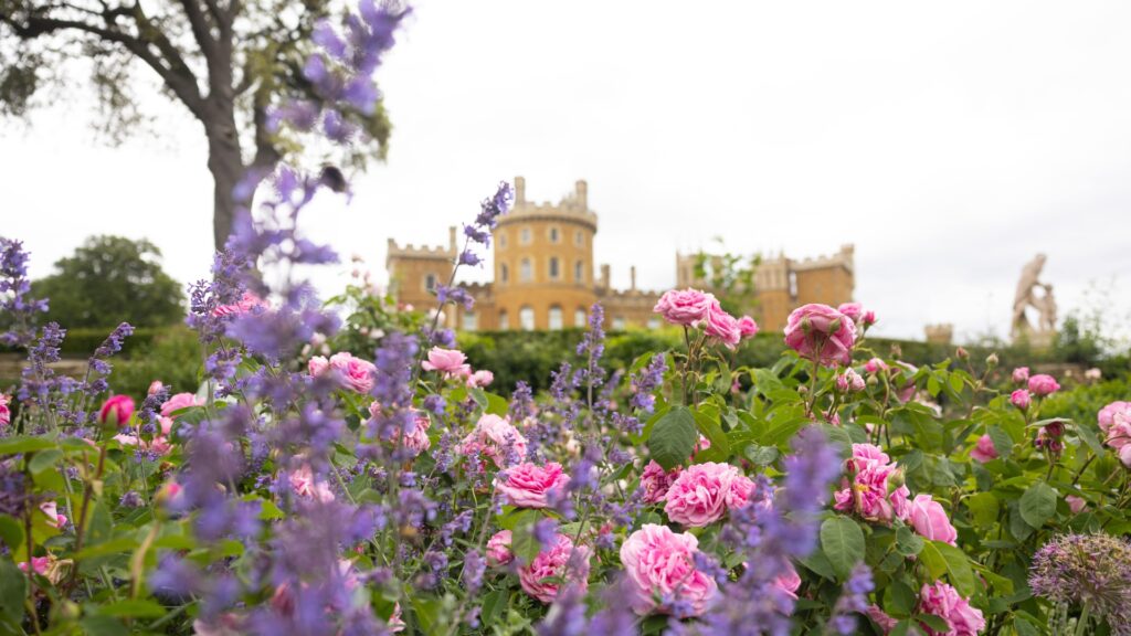 flower garden