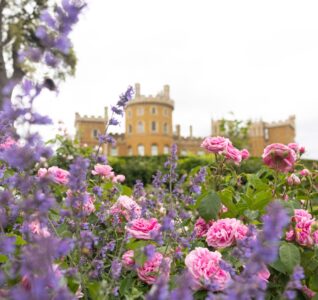 flower garden