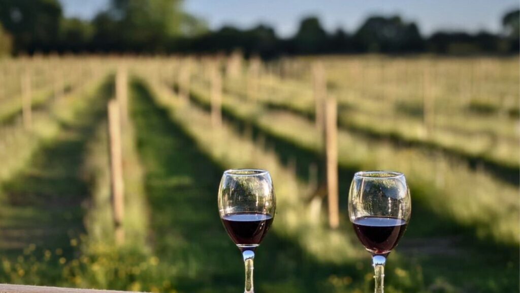 wine