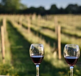 wine