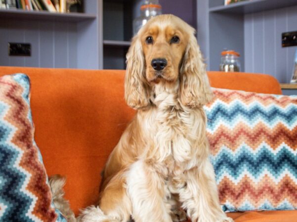 BIKE & BOOT INNS PEAK DISTRICT