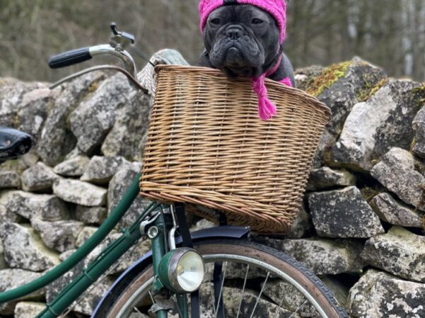 RIVENDALE LODGE RETREAT