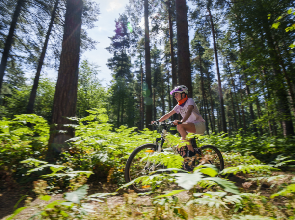 FORESTRY ENGLAND SHERWOOD PINES