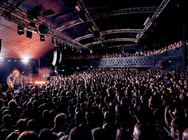 DHP FAMILY - ROCK CITY