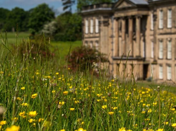 NATIONAL TRUST - CALKE ABBEY